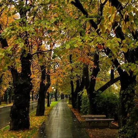 Udoban I Moderan Stan U Sarajevu. * Sarajevo