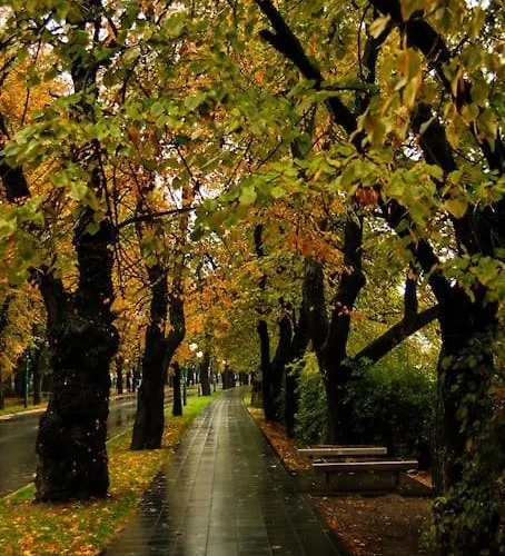 Udoban I Moderan Stan U Sarajevu. * سراييفو